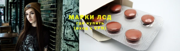 ПСИЛОЦИБИНОВЫЕ ГРИБЫ Карпинск