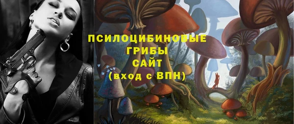 ALPHA PVP Новодвинск