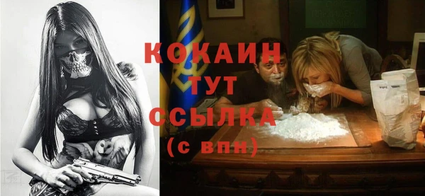 прущие крисы Новозыбков