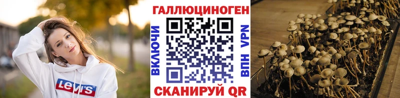 Галлюциногенные грибы прущие грибы  Кола 